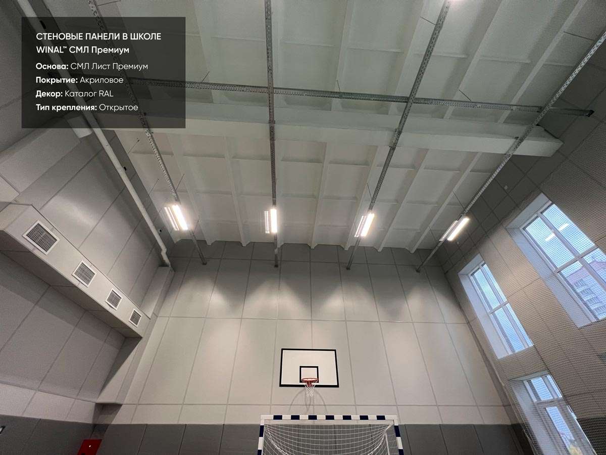 Отделка стен в школьном спортзале, классах, кабинетах и коридорах цветными панелями смл лист премиум панели окрашенный рал, монтаж омега профиль алюминиевый, потолочные панели