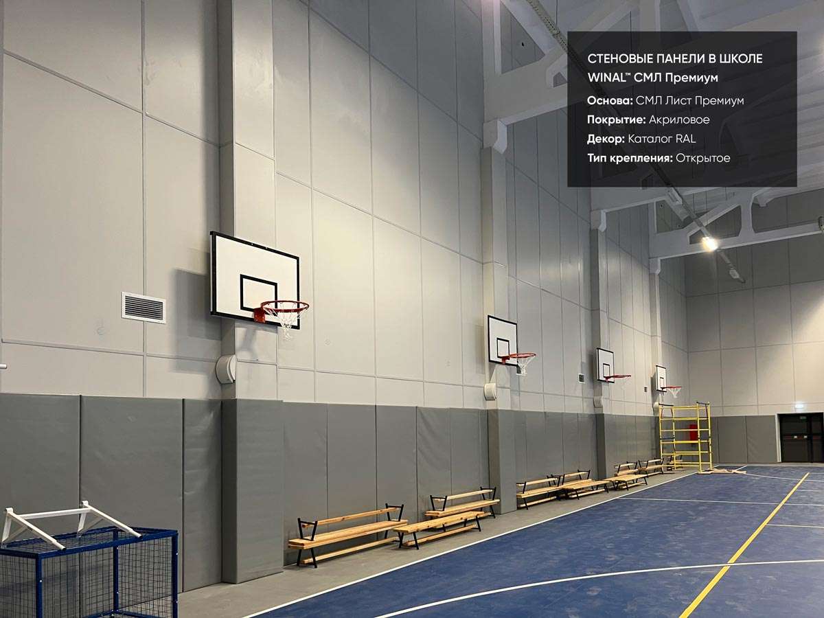 Отделка стен в школьном спортзале, классах, кабинетах и коридорах цветными панелями смл лист премиум панели окрашенный рал, монтаж омега профиль алюминиевый, потолочные панели